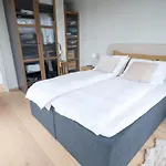 Moderne Og Stilig I Apartment *